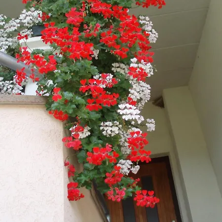 Ap 4 Fažana
